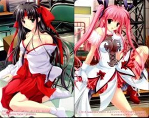 Chaos Labyrinth -ケイオスラビリンス- (台紙付/2枚組) 【テレホンカード】