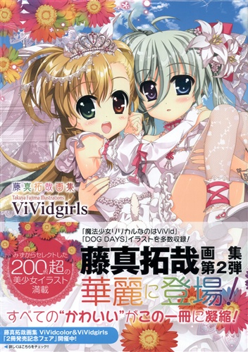 藤真拓哉画集 ViVidgirls [藤真拓哉]