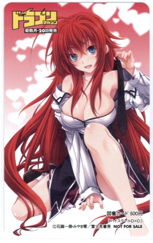 ハイスクールd D ドラゴンマガジン 12年5月号抽プレ 図書カード 金券類 金券類 図書カード アニメグッズ ゲーム 同人誌の中古販売 買取 らしんばんオンライン