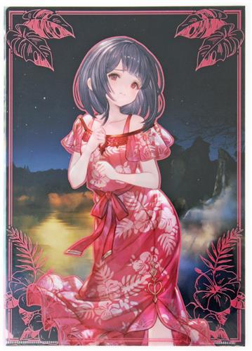 グランブルーファンタジー 十二神将 着せ替えクリアファイル