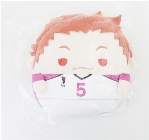 ハイキュー!! くじメイト ぬいくじ 2 C-E賞 ふわコロりん Msize 天童覚