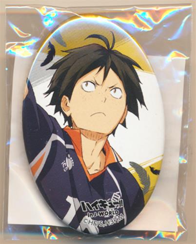 ハイキュー 山口忠 烏野フェス2018 j-world 缶バッジ ハイキュー 山口