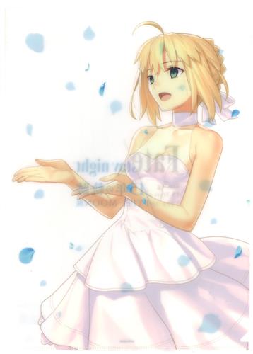 Fate/stay night TYPE-MOON展 Fate/stay night -15年の軌跡- A4クリアファイル セイバー B