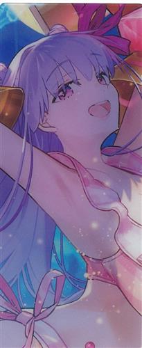 Fate/Grand Order Servant Art Chronicle -最終再臨展- ランダム編成画面風カード(2025年8～10月上旬実装) パッションリップ(セイバー)