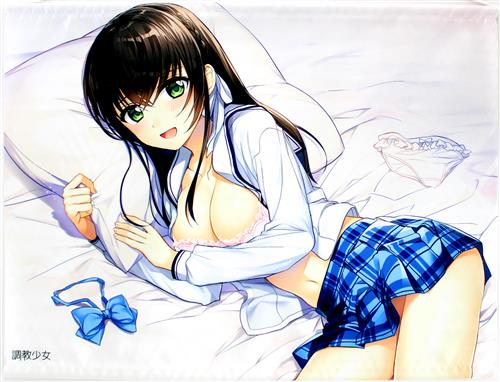 鏡乃もちこ B2タペストリー 癒されカノジョ [鏡乃もちこ][調教少女]