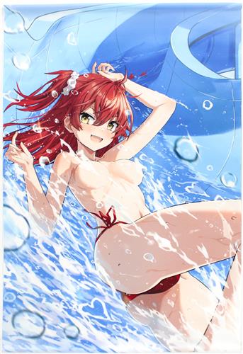 小鳥遊啓 描き下ろし B2Wスエードタペストリー HPリニューアル記念第2弾(差分) 【メロンブックス うりぼうざっか店限定】