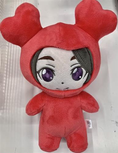 TWICE WORLD TOUR 2019 TWICELIGHTS IN JAPAN ぬいぐるみ CHAEYOUNG【TWICE WORLD TOUR 2019 TWICELIGHTS IN JAPAN】