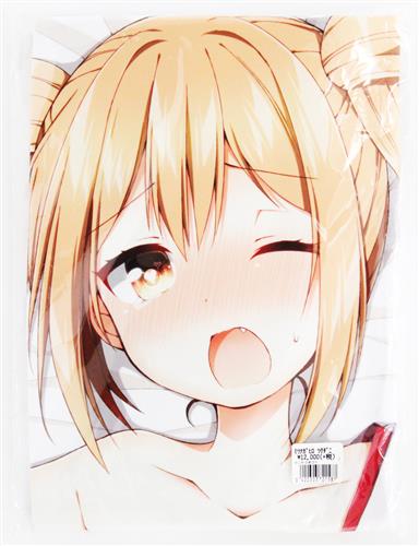 ひめゴト 佃煮のりお描き下ろし抱き枕カバー 織田光永&豊臣ヒロ (2WAYトリコット)