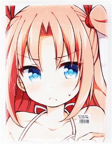 ひめゴト 佃煮のりお描き下ろし 抱き枕カバー 有川ひめ ～ビキニVer.～