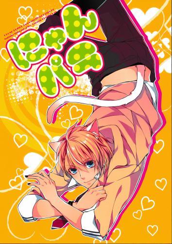 にゃんパラ 【蔵出品】