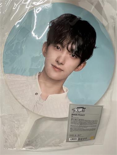 SEVENTEEN [FOLLOW AGAIN JAPAN] IMAGE PICKET DK