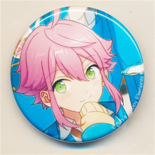 あんスタ　缶バッジ　アクリルキーホルダー　姫宮桃李 あんスタ 天祥院英智 姫宮桃李 応援缶バッジ アクキー アクスタ