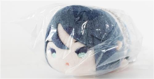 プロジェクトセカイ カラフルステージ! もちもちマスコット vol.1 星乃一歌 【アニメイト限定】