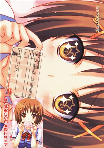 ぜったい遵守☆強制子作り許可証!! 愛と希望のSEX戦士セット 【コミケ78】 【テレホンカード】