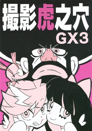 撮影虎之穴 GX 3 【パンティ&ストッキングwithガーターベルト】[山田