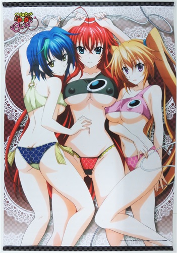 ハイスクールd D Born B1タペストリー リアス グレモリー ゼノヴィア 紫藤イリナ ﾊｲｽｸｰﾙ ﾃﾞｨｰﾃﾞｨｰﾎﾞｰﾝb1ﾀﾍﾟｽﾄﾘｰﾘｱｽｸﾞﾚﾓﾘｰｾﾞﾉｳﾞｨｱｼﾄﾞｳｲﾘﾅ グッズ 抱き枕カバー タペストリー シーツ タペストリー 一般 アニメグッズ ゲーム 同人誌の中古販売 買取 らしんばんオンライン