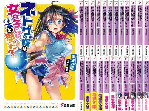 ネトゲの嫁は女の子じゃないと思った? 全23巻セット [聴猫芝居|Hisasi]【小説】