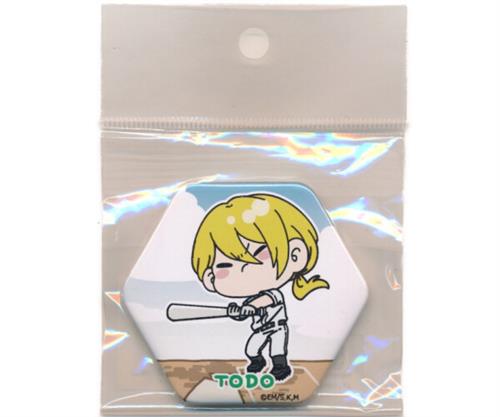 忘却バッテリー 六角形缶バッジ D 藤堂葵