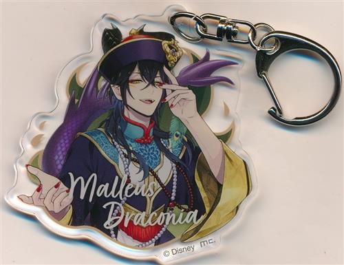 Disney TWISTED-WONDERLAND トレーディングアクリルキーホルダーコレクション B スケアリー・ドレスver. マレウス・ドラコニア 【アニメイト限定】