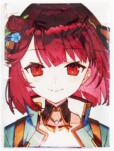 ソフィーのアトリエ 2 ～不思議な夢の錬金術士～ B2布ポスター ラミゼル・エルレンマイヤー&ソフィー・ノイエンミュラー&プラフタ 【楽天ブックス特典】