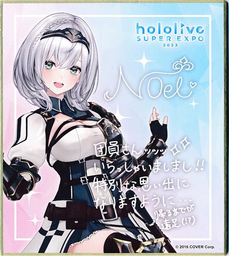 ホロライブ hololive SUPER EXPO 2023 ランダム メッセージ色紙 3期+4期+5期+秘密結社holoX 白銀ノエル