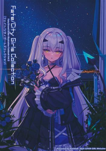 Fate/City Girls Collection vol.05 【Fate シリーズ】[HoODieR][Hoodier Collection]