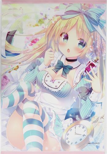 蜜桃まむ B2wスエードタペストリー グッズ 抱き枕カバー タペストリー シーツ タペストリー 一般 アニメグッズ ゲーム 同人誌の中古販売 買取 らしんばんオンライン