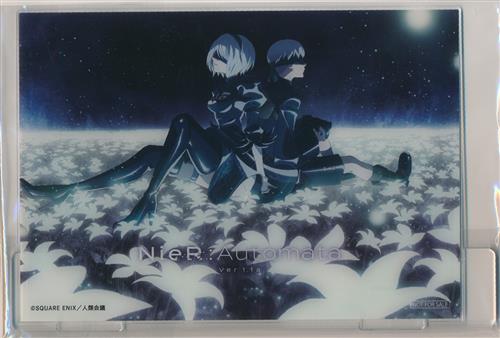 NieR:Automata Ver1.1a オリジナルアクリルアートパネル 2B(ヨルハ二号B型)&9S(ヨルハ九号S型) 【エポスカード新規入会特典】