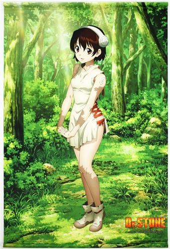 Dr.STONE タペストリー 小川杠