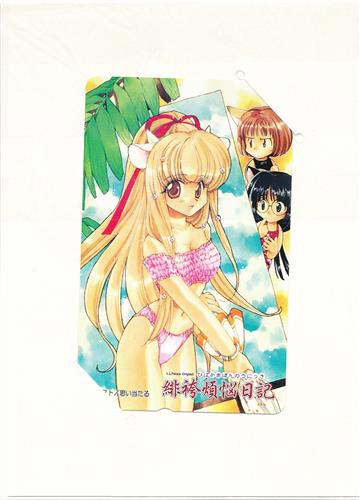 【未開封】緋袴煩悩日記 (台紙/イラストカード付) 【テレホンカード】