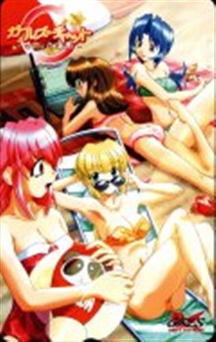 ガールズチャット ～わかりあえたら～ 【テレホンカード】