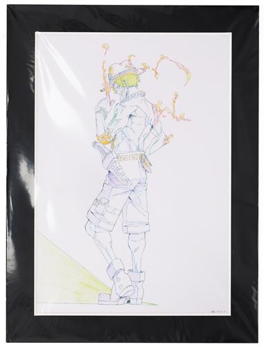ONE PIECE ONE PIECE.COM ILLUSTRATION WORKS Art Collection