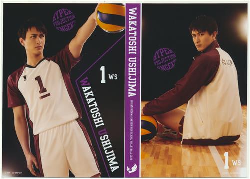 ハイパープロジェクション演劇 ハイキュー はじまりの巨人 プレイヤーズフォト ソロ 牛島若利 有田賢史 グッズ その他 芸能 アニメグッズ ゲーム 同人誌の中古販売 買取 らしんばんオンライン