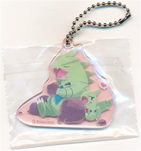 ポケットモンスター アクリルチャームコレクション TAIKI-BANSEI ヨーギラス&バンギラス