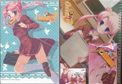 Canvas3セット(A4スケッチブック+携帯ストラップ+着せ替えタンブラー+A4マウスパッド+オリジナルテレカ) 【コミケ75】