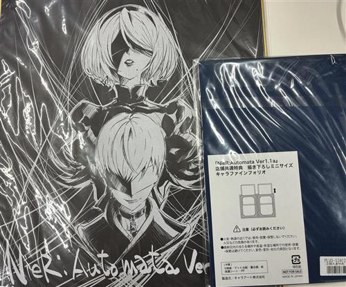 【未開封】NieR:Automata Ver1.1a 描き下ろし色紙 2B(ヨルハ二号B型)+ミニファインフォリオ 【メーカー BD-BOX/DVD-BOX1巻購入特典】