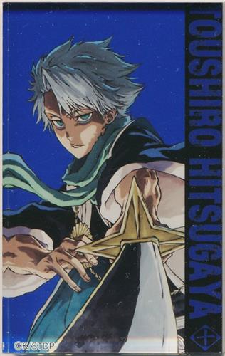 BLEACH 千年血戦篇 アクリルブロックコレクション CALL YOUR NAME VISUAL 日番谷冬獅郎