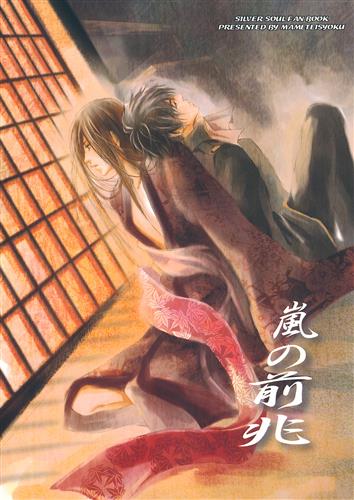 嵐の前兆 【銀魂】[帯刀まめ][まめ定食]