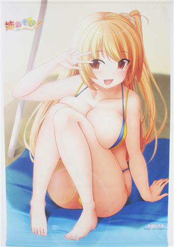 姉あそび! ～サポごっこでスキンシップ～ B2タペストリー 疾樫麗奈 【メロンブックス特典】