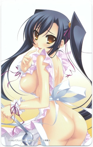 真・恋姫†無双 ～萌将伝～ 【PC Angel neo 2010年8月号誌上通販】 【テレホンカード】