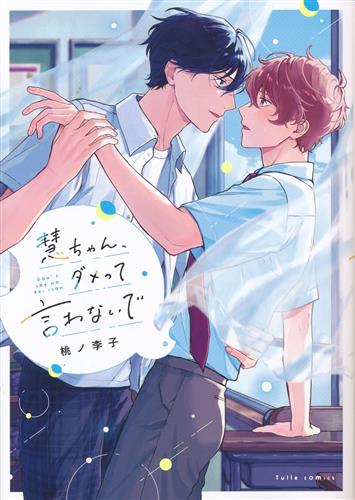 慧ちゃん、ダメって言わないで [桃ノ李子]【コミック】