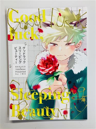 Good luck Sleeping Beauty 【僕のヒーローアカデミア】[いわ][Rocky Ground]