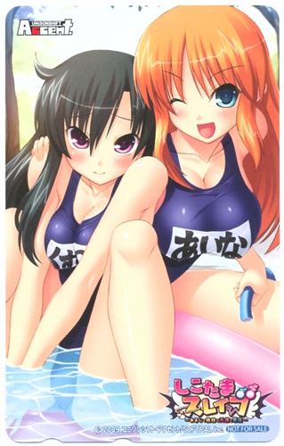 しこたまスレイブ ～あるじで姉妹な天使と悪魔～ 【アニメイト特典】 【テレホンカード】