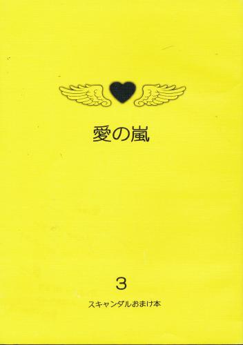 愛の嵐 3 蔵出品 女性向同人 同人誌 特約 アニメグッズ ゲーム 同人誌の中古販売 買取 らしんばんオンライン
