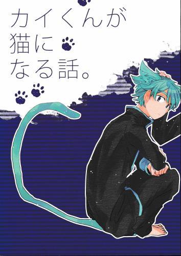 カイくんが猫になる話 蔵出品 女性向同人 同人誌 特約 アニメグッズ ゲーム 同人誌の中古販売 買取 らしんばんオンライン