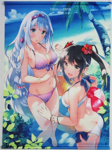 艦隊これくしょん -艦これ- 鶴姉妹 B2タペストリー 翔鶴&瑞鶴 [わだつみ][100Acre]