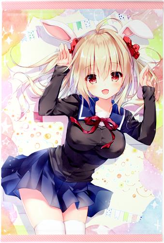 kino とっておkinoタペ B2Wスエードタペストリー D