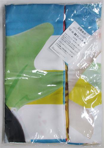 買取価格 1,600円】 堀江由衣 ほっちゃん抱き枕カバー Summer グッズ