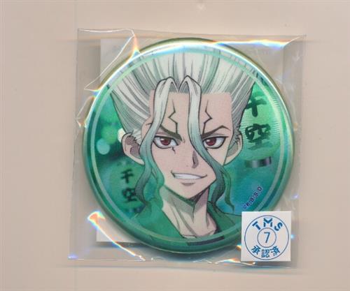 Dr.STONE 推しくじ 夏祭り オーロラ 缶バッジ 石神千空