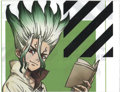 まるくじ Dr.STONE 第2弾 超大吉01賞 選べるB2半裁布ポスター 石神千空